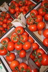 Tomato health pill questioned