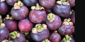 Thai mangosteen