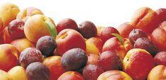 Stone fruit and grape is starting late out of South Africa this season