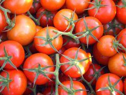Cornerways tomatoes