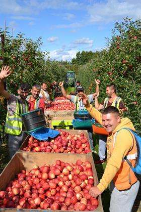 Happy seasonal workers