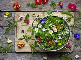 Maddocks Flower Salad