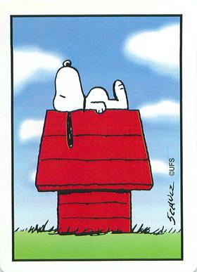 Snoopy Credit Mark Anderson