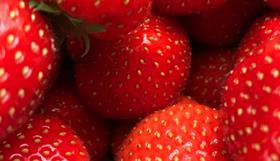 GEN strawberries