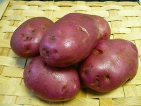 rudolph potatoes Asda Fenmarc