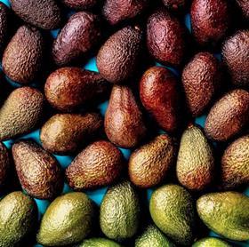 NZ Avocado Instagram