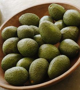 CL_Chilean avocados in bowl