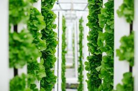 Vertical Farm Bayer Unfold