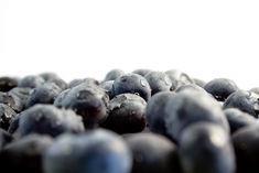 Argentinean blueberries maintain performance
