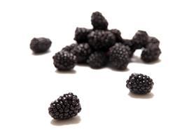 blackberries_1279090