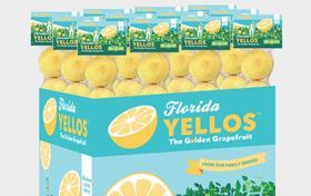 IMG Florida Yellos grapefruit popup display concept