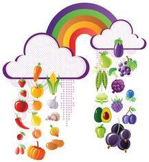 Blackcurrant Foundation: Eat a Rainbow