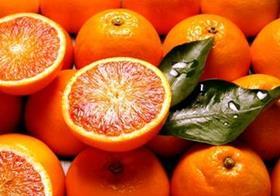 Sicily oranges