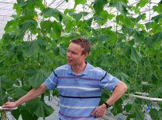 Thanet Earth grower Arjan de Gier with the first cucumbers of 2010