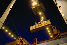 Pigeon flies into Maersk management