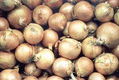 Onion industry told to rethink planting programmes