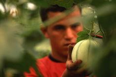 EU-Morocco trade restrictions relaxed