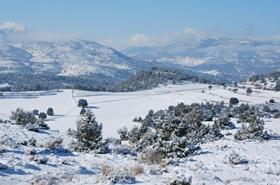 Murcia snow