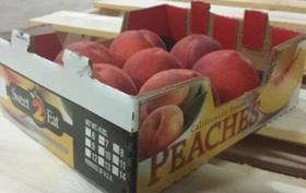Sweet2Eat peaches recall CFIA