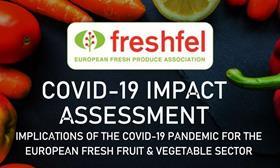 Freshfel Covid-19 Impact Assessment