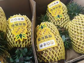 Taiwan pineapple