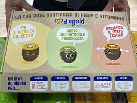 IT Jingold kiwifruit ecommerce selection box