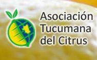Asociación Tucumana del Citrus