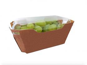 OTC Organics cardboard grape packaging with transparent lid