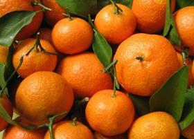 Generic mandarins