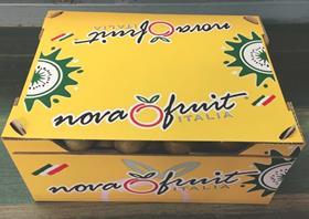 Novafruit kiwifruit carton