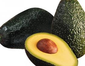 Agrexco Ettinger avocados