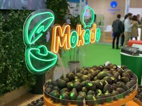 CN Mokado avocado China brand Frutacloud