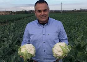 Riccardo Pazzaglia Codma cauliflower