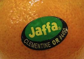 Or Jaffa clementine