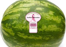 Pink Ribbon Watermelon