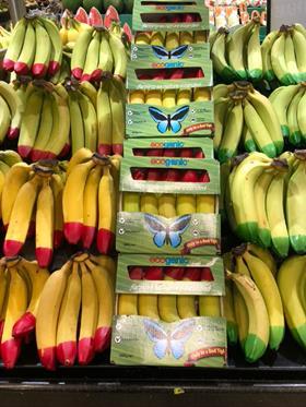 EcoBanana