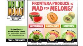 Frontera Produce melon website