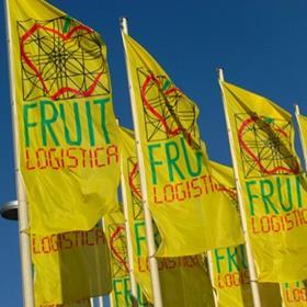 Fruit Logistica flags square