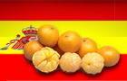 Spain Citrus