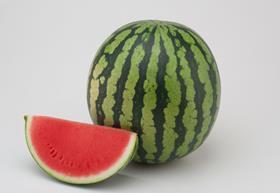 Hazera Margay seedless watermelon