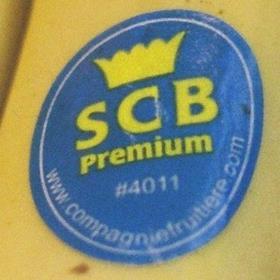 SCB bananas copyright Andrius Burlega