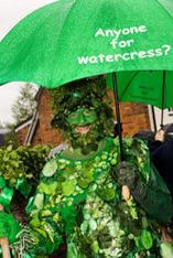The power of watercress
