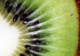 Kiwifruit close-up