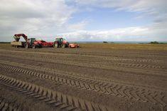 Vitacress meets off-season demand from Iberian peninsula