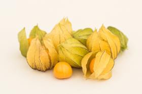 HLB Specialties physalis