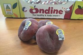 Ondine Peach in front of box