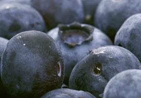 Blueberries