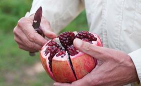 Natoora pomegranate