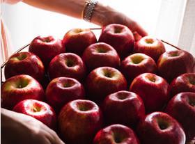 Envy apples serving tray