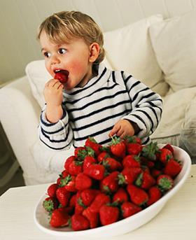 British Summer Fruits